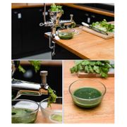 Hand wheat grass juicer stainless steel manual auger slow juicing apply to fruit vegetable wheatgrass lemon juice extractor