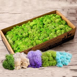 Micro landscape fake moss 800g simulation plants artificial eternal life moss  garden home decor wall DIY flower material Prices and Specs in Singapore, 12/2023