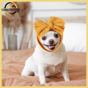 Cheap puppy hot sale accessories