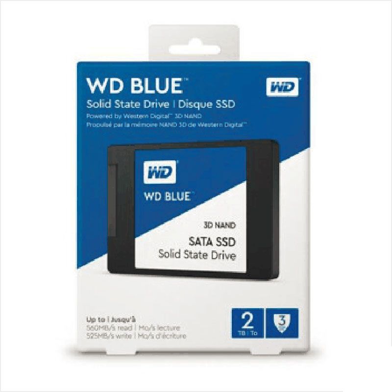 WD Blue SA510 WDS250G3B0B - SSD - 250 Go - interne - M.2 2280