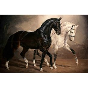 YIKEE diamond painting Black and white horse,5d full drill square diamond painting,dimond painting full square Y815 NEW TOOL