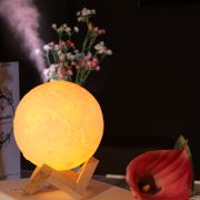 3d aroma humidifier and night light