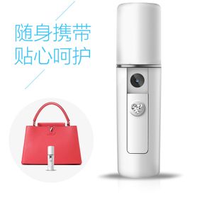 Handy Facial Steamer Nano Mister Portable Nano Sprayer Beauty Spa with USB Rechargeable Power Bank 550mAh Facial Care Tools
