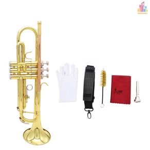 MI Trumpet Bb B Flat Brass Phosphor Copper Exquisite with Mouthpiece Cleaning Brush Glove Strap