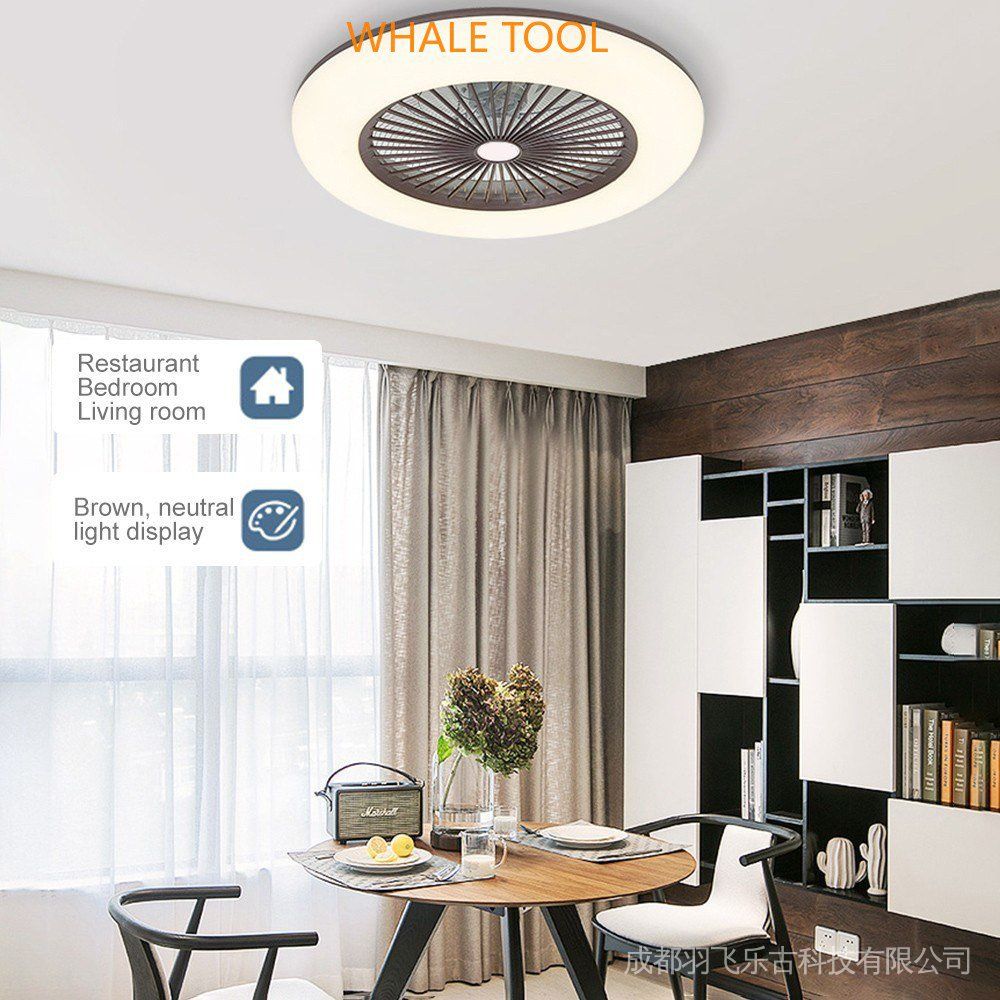 adjustable light ceiling fan