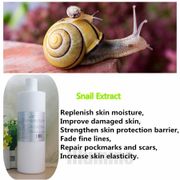 Snail Mucus Essence 1000ml Replenish Water Acne Wrinkle Relief Skin Rejuvenation Essence Cosmetics OEM