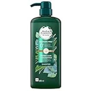 Herbal Essences Sulphate-Free Scalp Balance Potent Aloe + Eucalyptus 90% Natural Origin Shampoo 600 ml