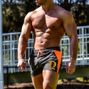 Workout Breathable Fitness Gym Men Fashion Brand Mens Bodybuilding Mesh Male Casual Shorts Comfortable Plus Size Sports Shorts