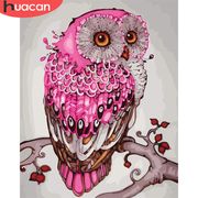 HUACAN Paint By Number Owl Animal Drawing On Canvas HandPainted Painting Art Gift DIY Pictures By Number Kits Home Decor