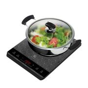 Electrolux Portable Induction Hob ETD29PKB with Stainless Steel Pot