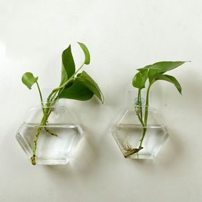 Glass Wood Vase Planter Terrarium Table Desktop Hydroponics Plant