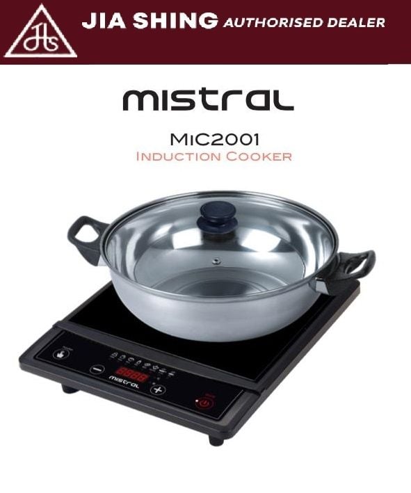 mistral mic20e