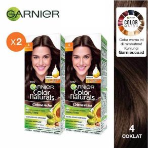 Garnier Color Natural Hair Dye No 4brown [Twinpack/ 2pcs]