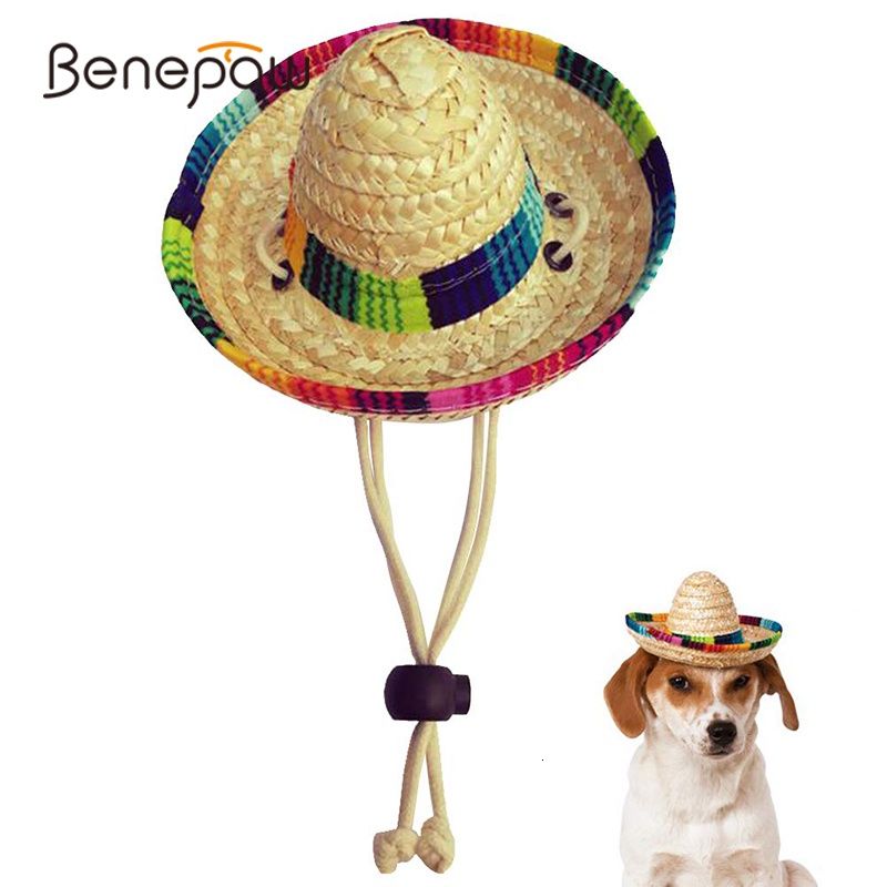 Hot Pet Dog Hat Cap Baseball Fashion Hat For Dogs Casual Canvas Cap For Dog  Hat Chihuahua Yorkshire Summer Hat Sun Bonnet Cap - AliExpress