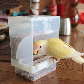 OOTDTY Bird Poultry Feeder Automatic Acrylic Food Container Parrot Pigeon Splash Proof