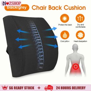 Memory Foam Lumbar Support Back Cushion Firm Pillow for Computer/Office  Chair Car Seat Recliner Lower Back Pain Sciatica Relief - AliExpress