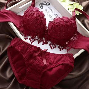 Seamless underwear women bra set sexy push up bra set women embroidery seamless  bra set women underwear bra and panty set Prices and Specs in Singapore, 01/2024