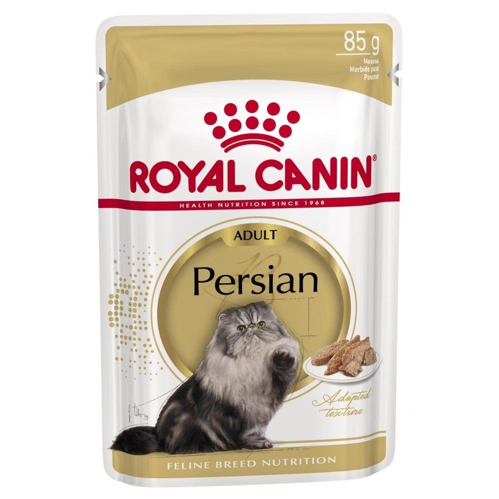 persian adult 2kg