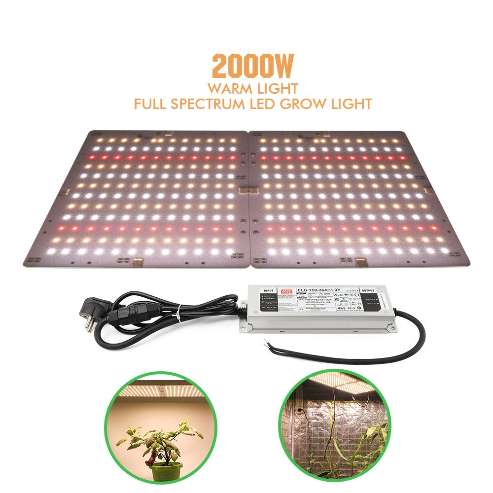 1000W LED Grow Light Panel Full Spectrum Phyto Lamp AC85-240V EU