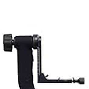 LensCoat Oben Gh-30 Cover, Black (lcobghbk)