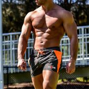 Workout Mens Bodybuilding Mesh Male Casual Shorts Gym Men Fashion Brand Breathable Fitness Comfortable Plus Size Sports Shorts