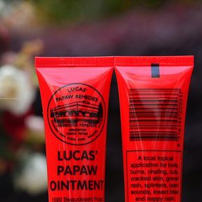 Lucas Papaw Ointment 25g x2 (Double Pack) - Paw Paw Cream