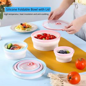 Silicone Folding Lunch Box with Lid Portable Picnic Camping Bowl