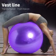 2020 Sports Yoga Balls with pump Bola Pilates Fitness Gym Balance Fitball Exercise Pilates Workout Massage Ball 55cm 65cm 75cm