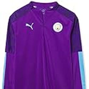 PUMA Men's Manchester City MCFC 1/4 Zip Top, Tillandsia Purple-Team Light Blue, XL