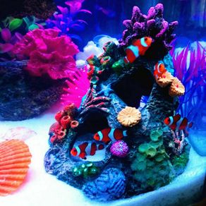 Safe Ceramic Aquarium Decorations Shell-Shaped Fish Tank Decor Cave for  Hiding, Betta Fish Accessories