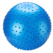 55cm Sports Yoga Balls Balance Fitball Massage Training Workout Exercise Ball Pilates Fitness Ball for Indoor Outdoor Training